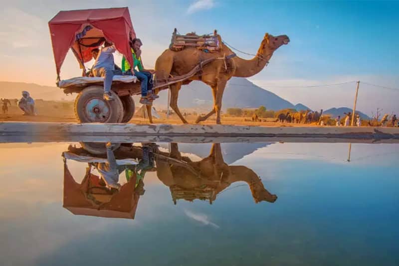 golden triangle with pushkar tour